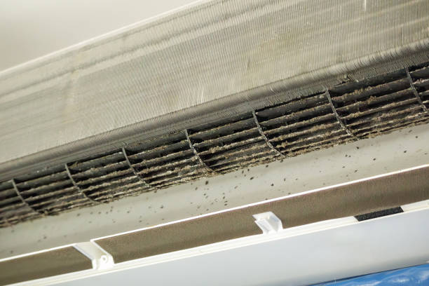 Best Air Vent Cleaning Services  in Kutztown University, PA